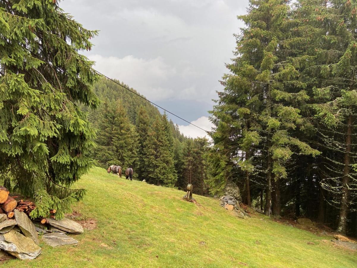Do-Minus Boutique Home & Private Spa Ca Pedrot Mountain Cottage Monte Carasso Εξωτερικό φωτογραφία